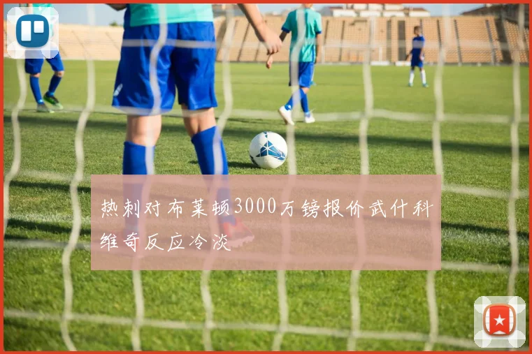 热刺对布莱顿3000万镑报价武什科维奇反应冷淡