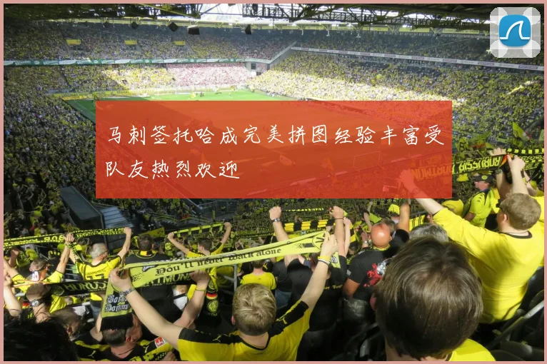 马刺签托哈成完美拼图经验丰富受队友热烈欢迎