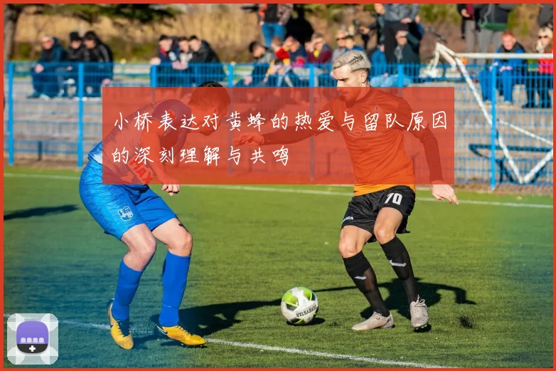 小桥表达对黄蜂的热爱与留队原因的深刻理解与共鸣